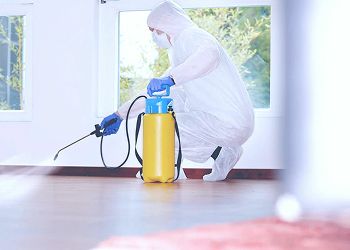 Дезинфекция квартир и домов